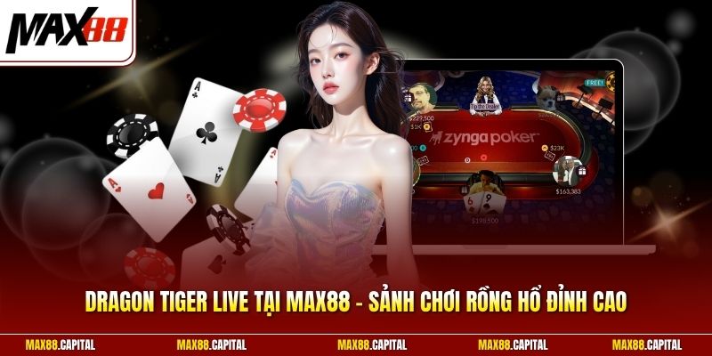 Dragon Tiger Live Tại Max88 - Sảnh Chơi Rồng Hổ Đỉnh Cao