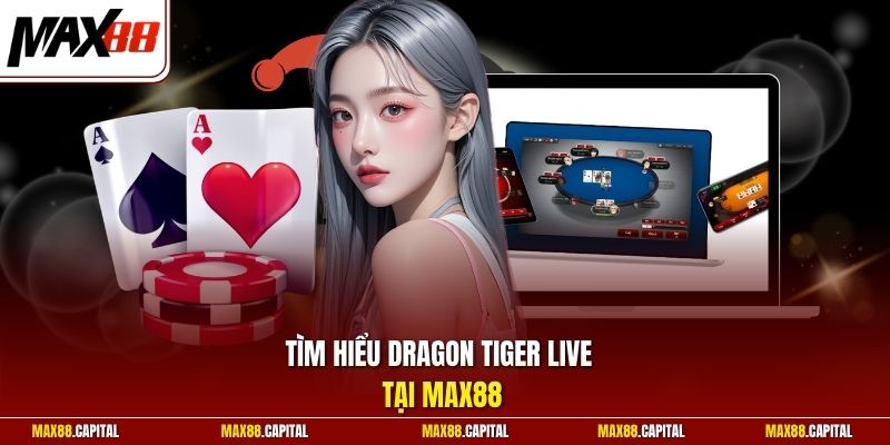 Tìm hiểu Dragon Tiger live tại Max88
